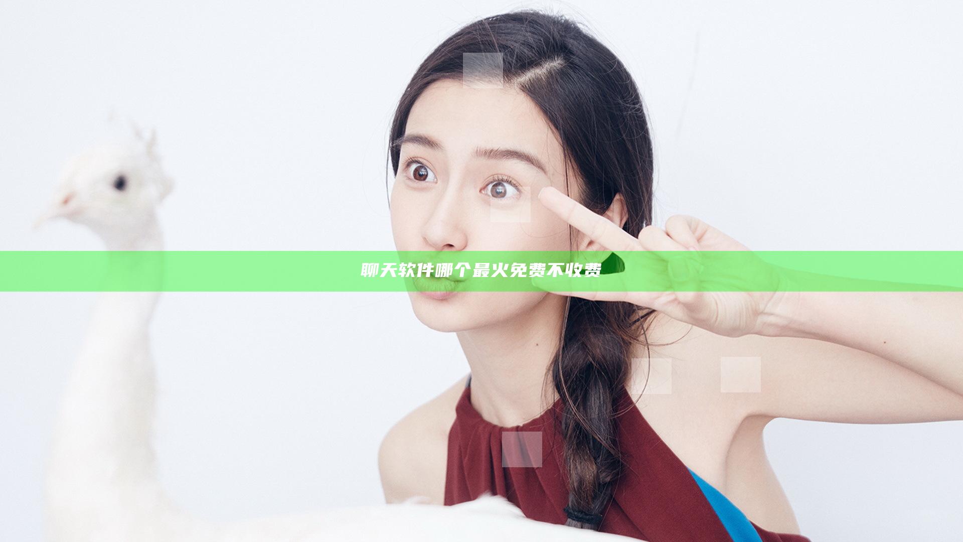 聊天软件哪个最火免费不收费