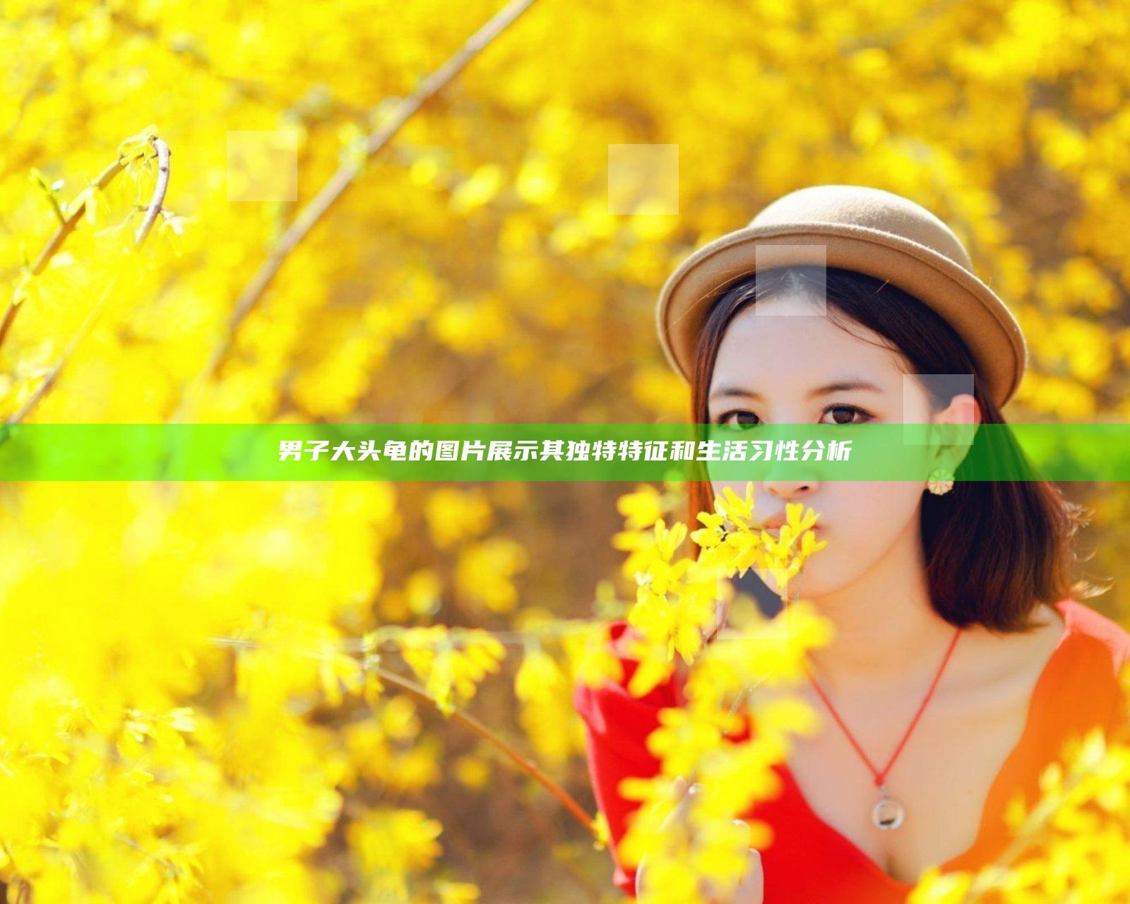 男子大头龟的图片展示其独特特征和生活习性分析