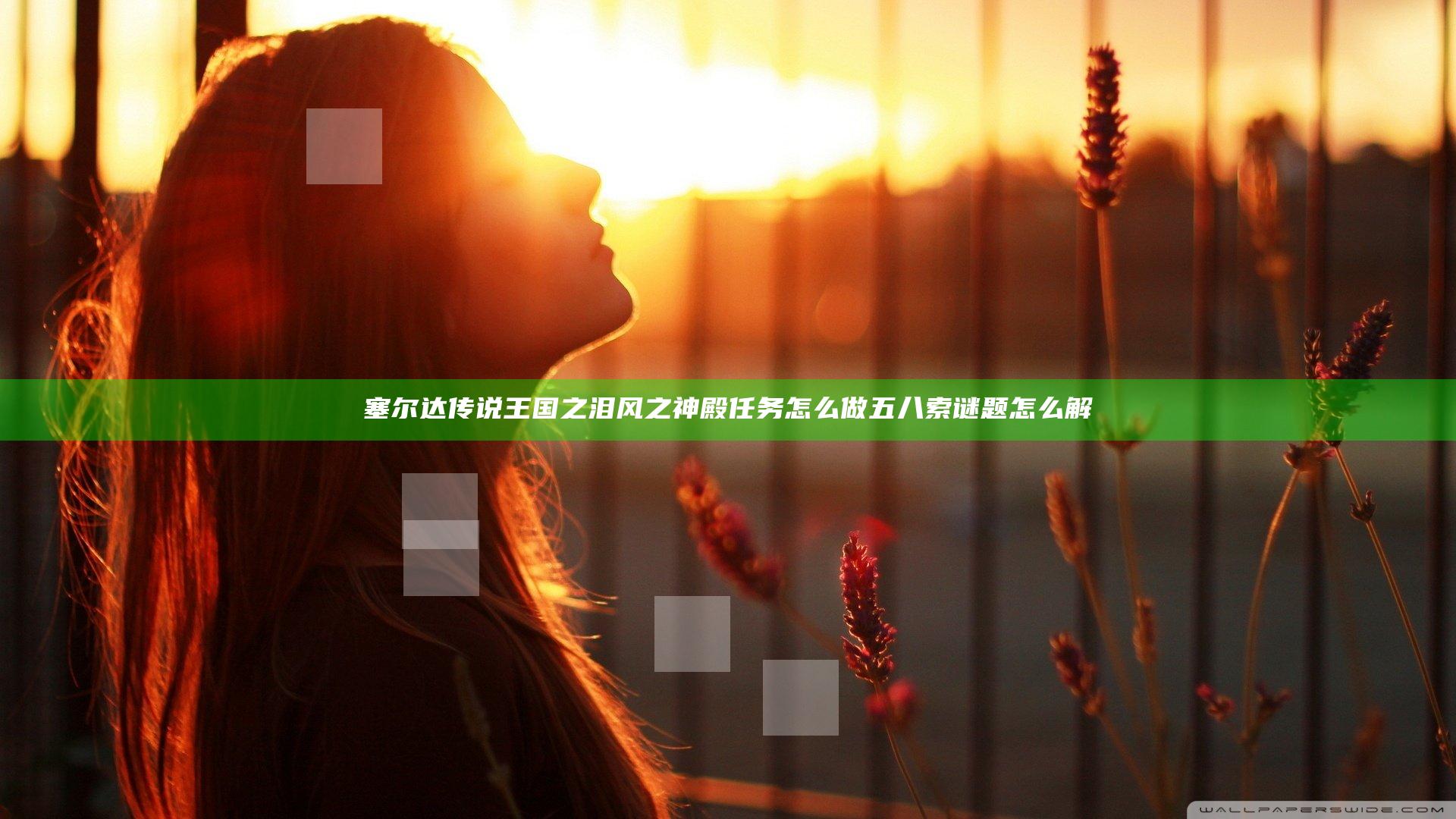 塞尔达传说王国之泪风之神殿任务怎么做 五八索谜题怎么解