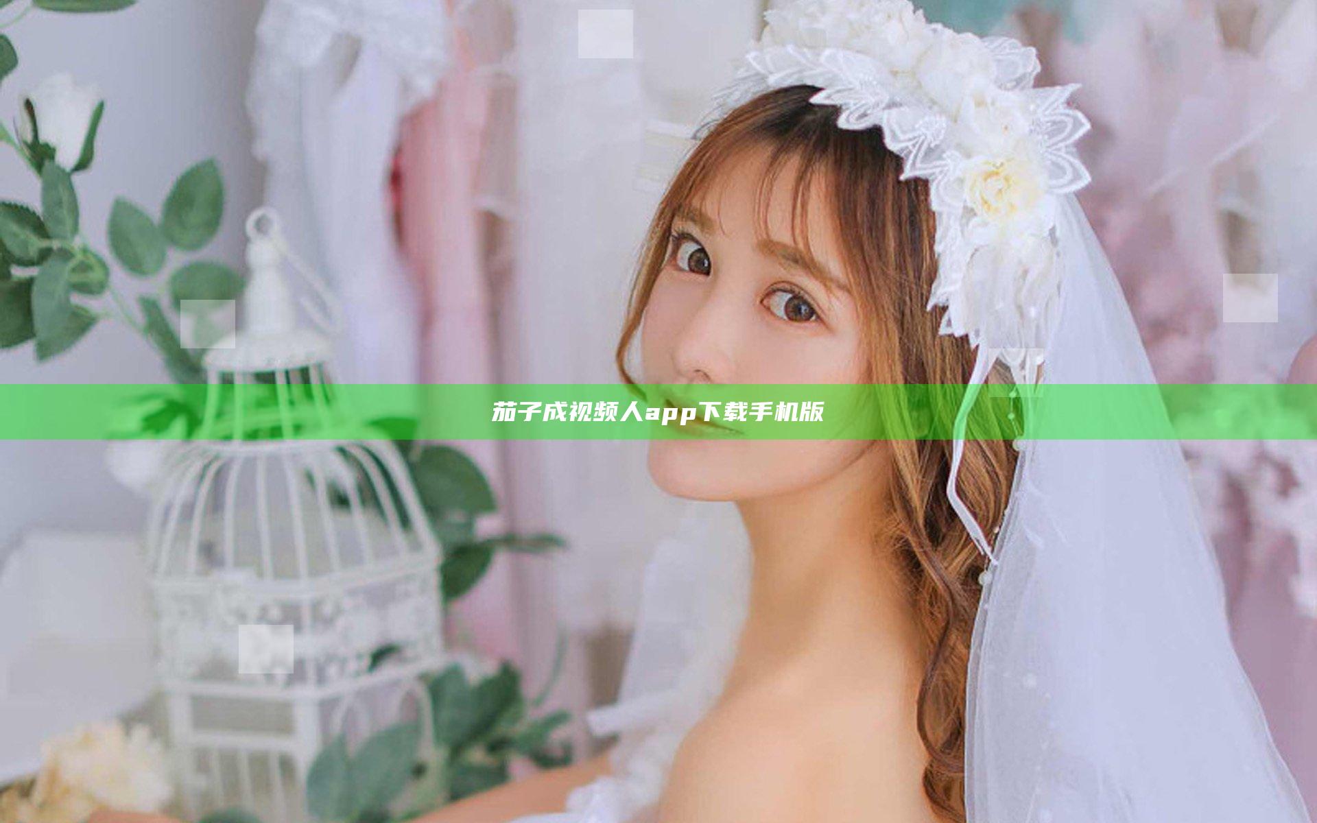茄子成视频人app下载手机版