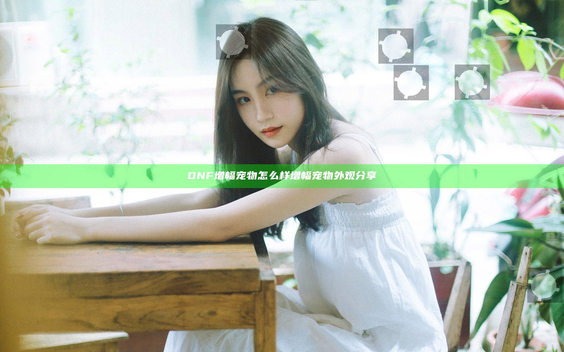 DNF增幅宠物怎么样 增幅宠物外观分享