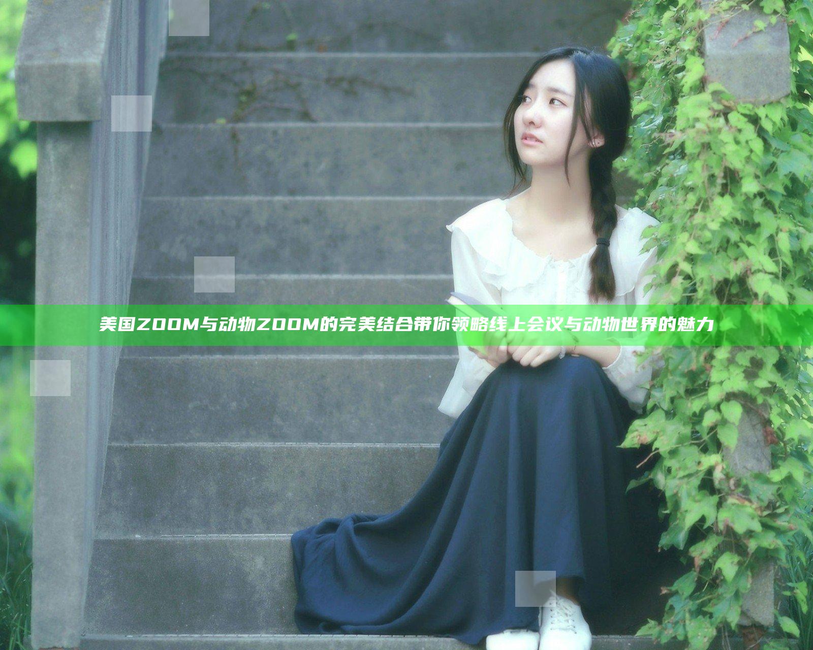 美国ZOOM与动物ZOOM的完美结合带你领略线上会议与动物世界的魅力